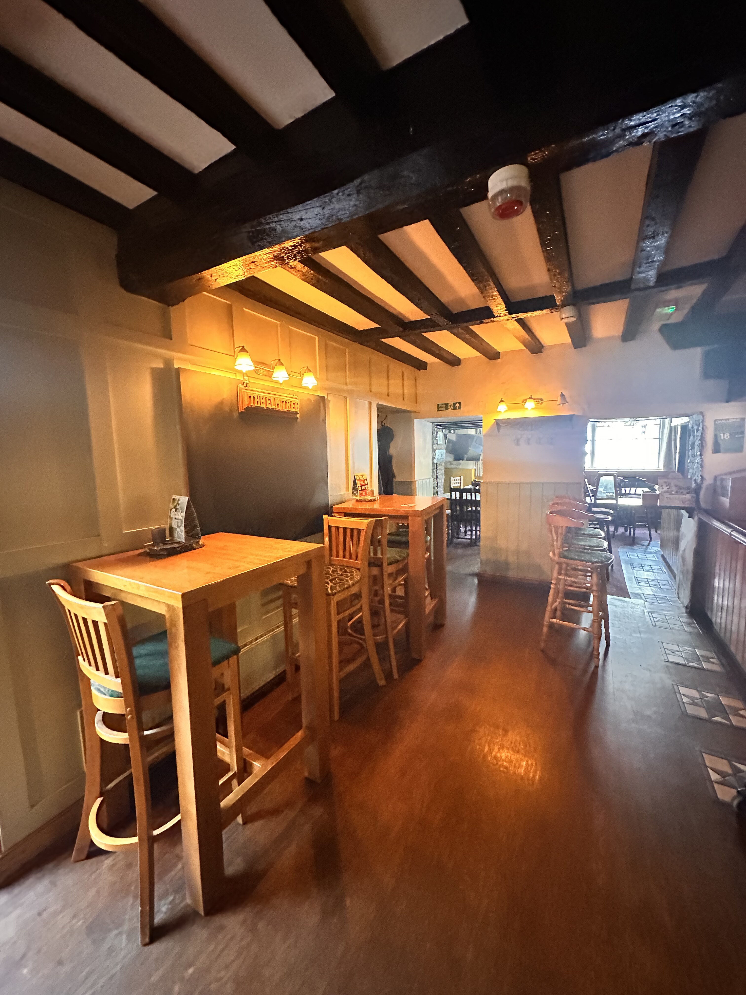 The Elm Tree 5